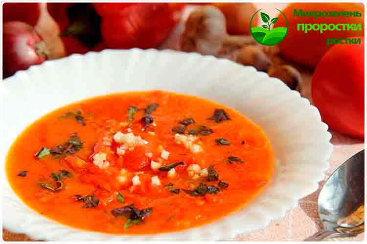 томатный суп с проростками маша